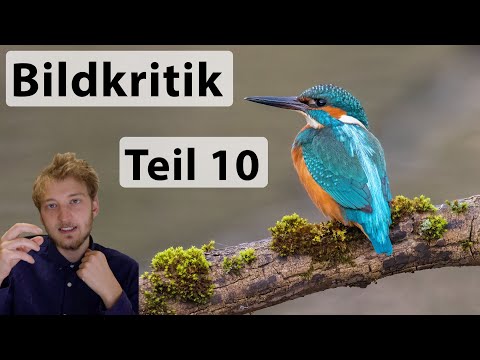 Bildkritik Teil 10 - Ich gebe Feedback zu euren Fotos