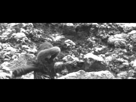 FEDDE LE GRAND Ft DI RECT, WHERE WE BELONG HD