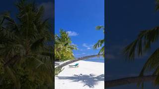 Download lagu #berpisahdiujungjalan #laguviral #laguanakindonesiapopuler mp3