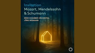 Wolfgang Amadeus Mozart / Irish Chamber Orchestra & Jörg Widmann - Serenade In C Minor K 388 384a Iv Allegro video