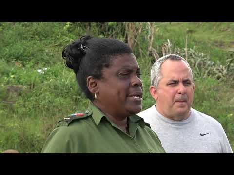 Suministran alimentos a comunidades montañosas  afectadas por el huracán Melissa.