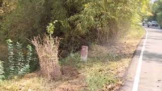  Commercial Land for Sale in Papanasam, Thanjavur