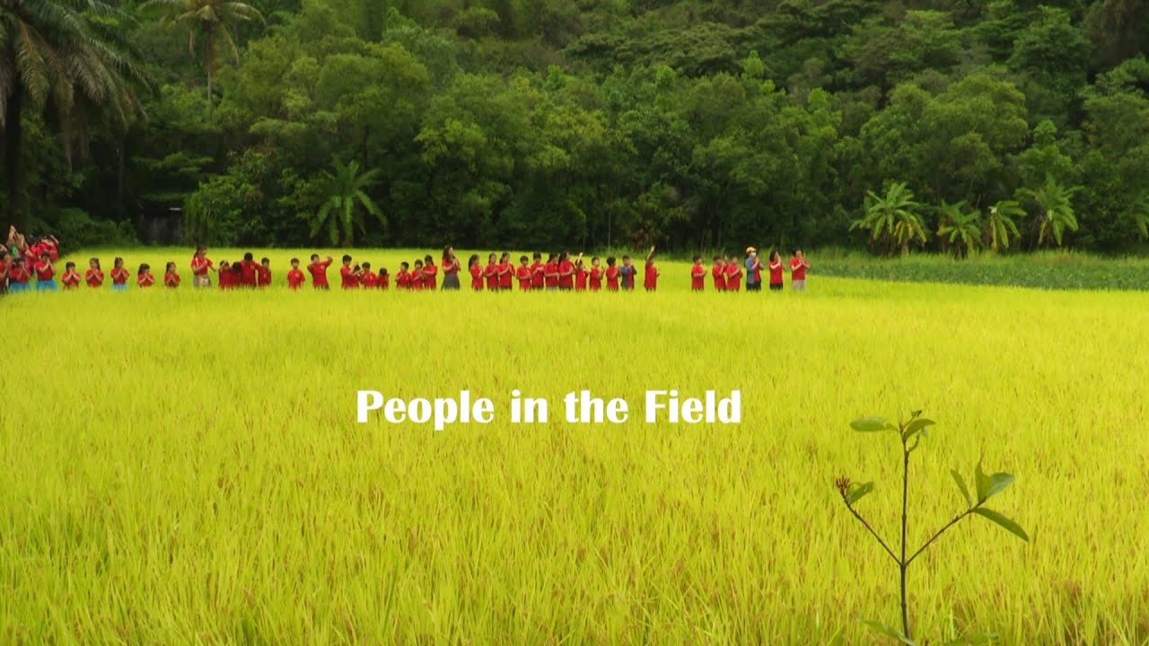 People in the Field