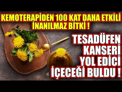 , title : 'Bilim adamları, sadece 48 saat içinde kanser hücrelerinin %98’ini öldürebilecekleri kök keşfetti !'