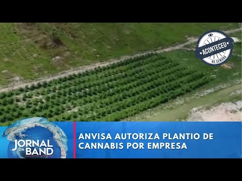 Brazilian health agency Anvisa authorizes cannabis cultivation by company | What Happened This Week