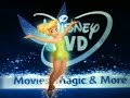 Disney DVD Logo PAL Toned