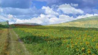 Alcazar - Seasons in the sun (Best Version)