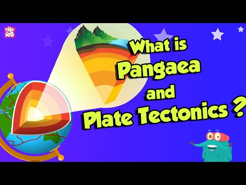 What Is Pangaea & Plate Tectonic? | CONTINENTAL DRIFT | The Dr Binocs Show | Peekaboo Kidz