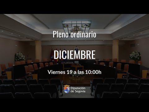 Pleno ordinario 19 de diciembre de 2025