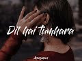 Dil Hai Tumhara Slowed Reverb