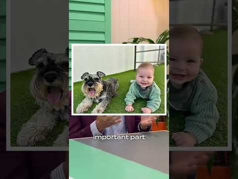 Aussie Apartment with an Off-Leash Dog Area? Meet Ombré Robina