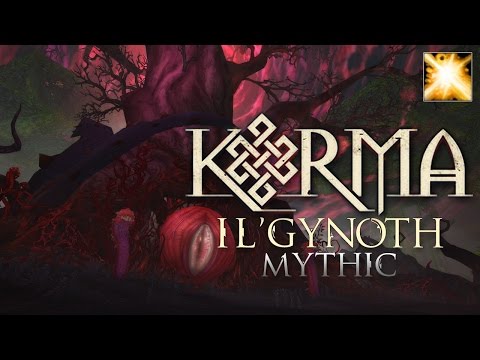 Karma vs. Mythic Il'gynoth, Heart of Corruption [Holy Paladin PoV]