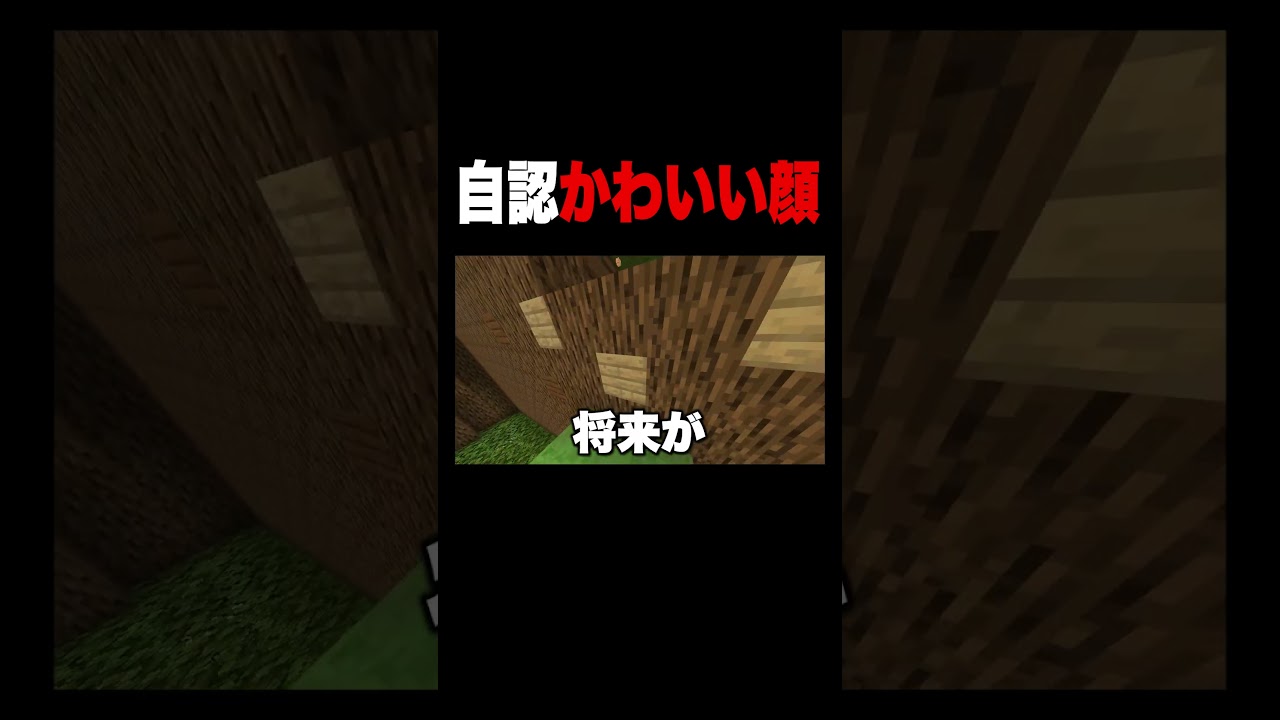 落ちた理由を自覚できてない奴w #マイクラ #shorts