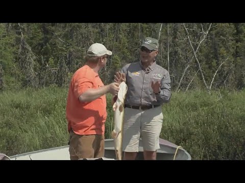 Reindeer Lake Fishing | Bob Redfern's Outdoor Magazine - YouTube