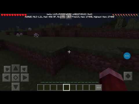 Minecraft -Vi mostro come evocare L ender Dragon senza mod