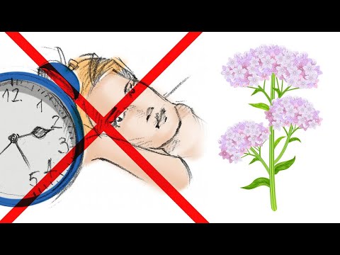 Why VALERIAN ROOT Should NOT be Taken for Sleep