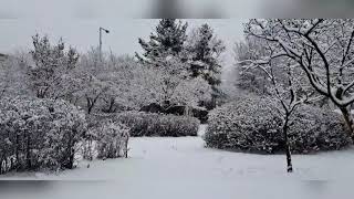 Whispering Hope - Anne Murray