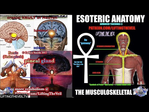 Symbols of Power: Secrets of the Ankh- Lifting The Veil Cullen Smith