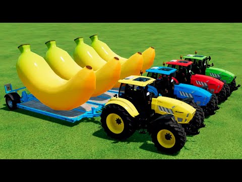 TRANSPORT BANANAS WITH COLORED LAMBORGHINI TRACTORS & SCANIA TRUCK - Farming Simulator 22