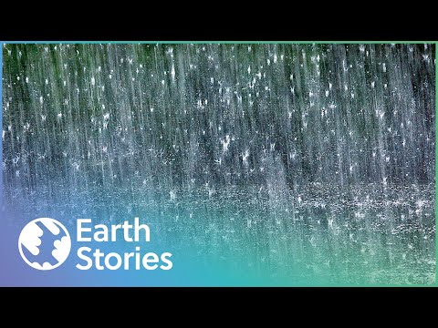 How Does Rain Actually Work? | Rain: The Untold Story