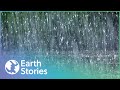 How Does Rain Actually Work? | Rain: The Untold Story