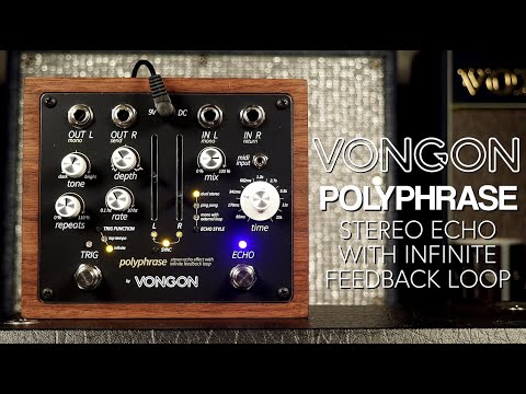 Vongon Polyphrase Stereo Delay 2022 - Present - Black image 5