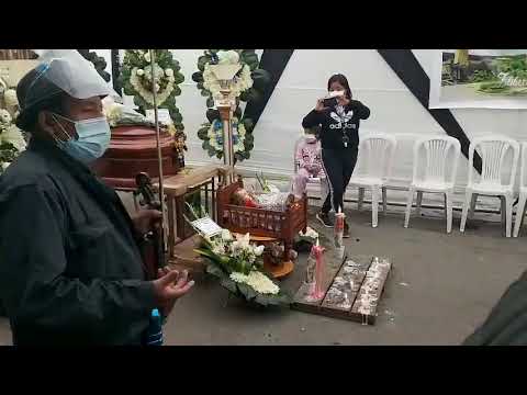 negrillos de andahuaylas