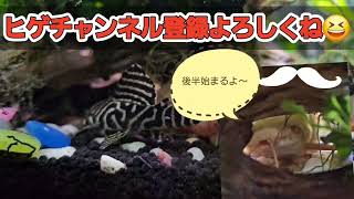 【雑談動画】今回のテーマは｢車のエアコン｣について