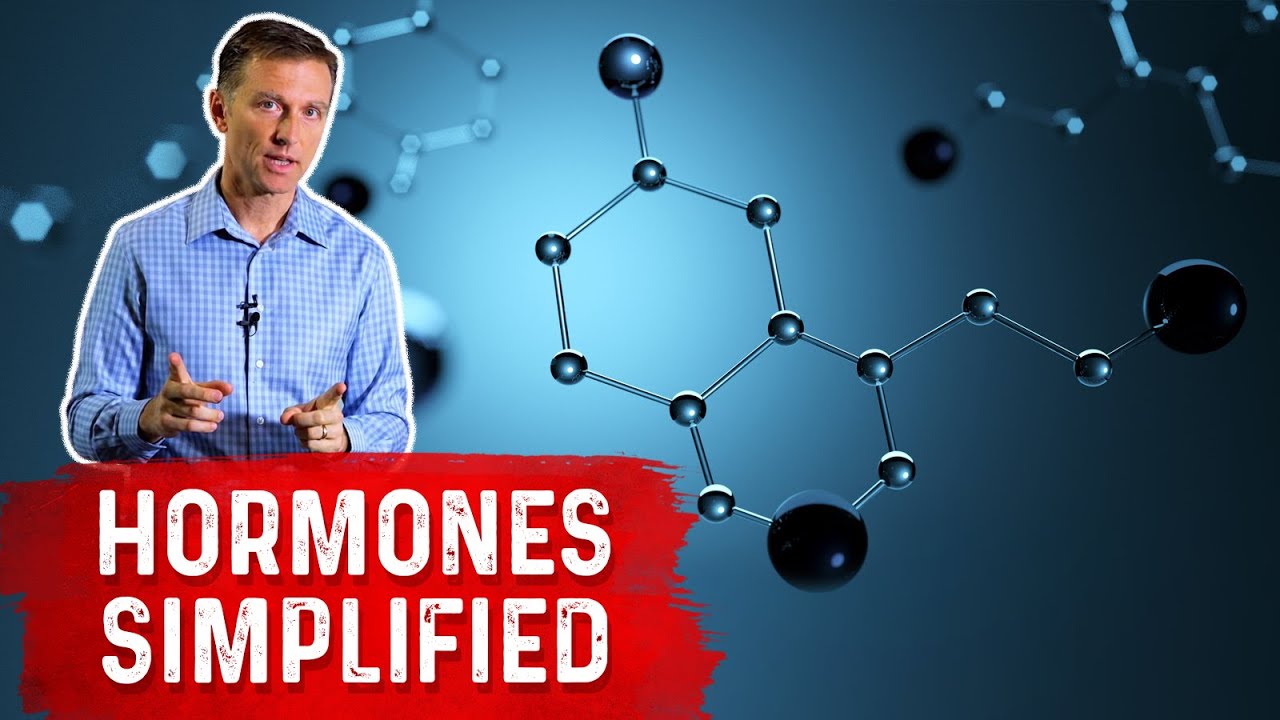 Hormones Out of Balance - This is Why! - Dr. Berg On Hormonal Imbalance