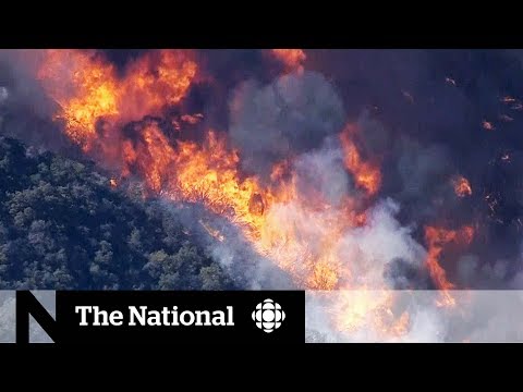 download lagu mp3 mp4 Breaking News Fire Thousand Oaks, download lagu Breaking News Fire Thousand Oaks gratis, unduh video klip Breaking News Fire Thousand Oaks