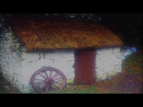 PADDY COLE 'THE ISLE OF INNISFREE' 1992 (The Capitol Showband, The Big 8)