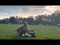 Phoebe Bridgers Scott Street Cover By Katie Ruby