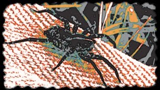 Ain't No Bugs on Me When Hiking and Camping