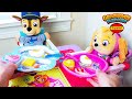 Video Educativo para Niños! Juguetes Paw Patrol Skye y Chase!