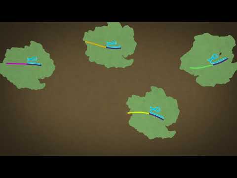 CRISPR Immunity Explained: How Cas9 Protects Bacteria from Viruses