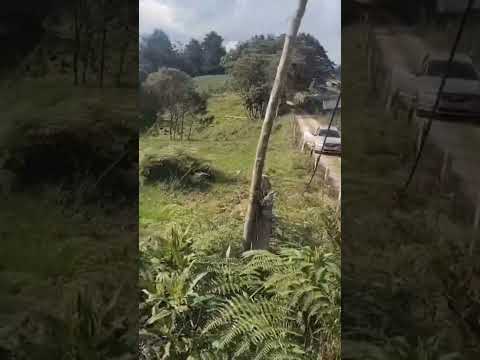 vendo hermoso lote San Pedro Antioquia 3127764257 Luz Estella Betancur Ruiz tu asesora de seguros