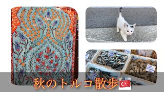 【秋のトルコ散歩】駐在5年目の秋*魚市場買い出し*グランドバザール散策
