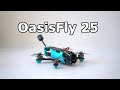 If I Had To Choose Just One FPV Drone