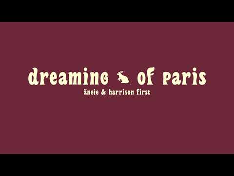dreaming of paris - ängie x harrison first