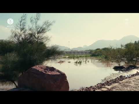 ‏في إطار أكتوبر الحضري تواصل المدينة المنورة تعزيز مكانتها كمدينة ذكية تتمحور حول الإنسان