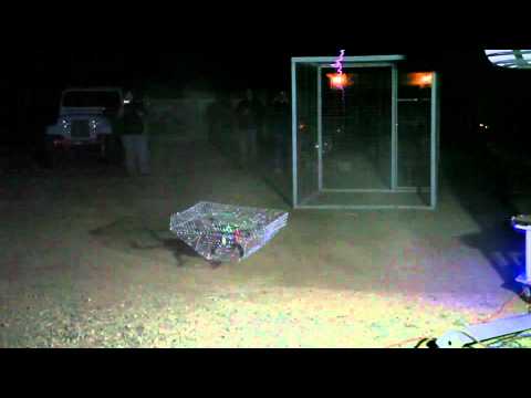 W.W.T. 2012 - The Faraday Copter / Quadrotor vs. Tesla Coil - Part 2