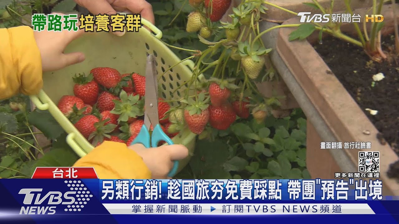 係金欸!新竹賞螢團費「99元」 帶路商品養客群