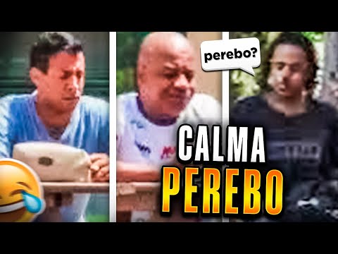 AS MELHORES DO TONINHO! 🤣🤣🤣🤣