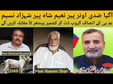 Pakistani Top Class Bully Breed Dog Name Ziddi Owner Peer Naeem Shah Peer Shehzad Naseem P.k Insaaf