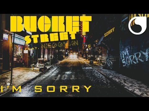 Bucket Street Ft. NIeggman - I'm Sorry (Tom Snare Edit)