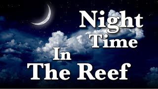 The Reef at Night - Using Yellow Gel Filter