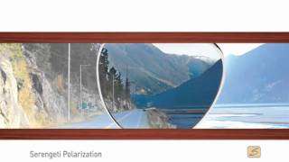 SERENGETI zonnebrillen en zonneglazen