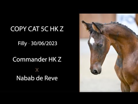 NR 26 - COPY CAT 5C HK Z (Commander HK Z x Nabab de Reve)