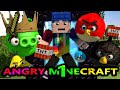 A NEW ANGRY MINECRAFT 1 Angry Birds Minecraft Animation
