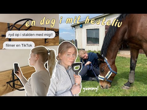 PÅSKEFERIE VLOG | En dag i mit hesteliv! forårsoprydning i stalden, TikToks & tur på min hest